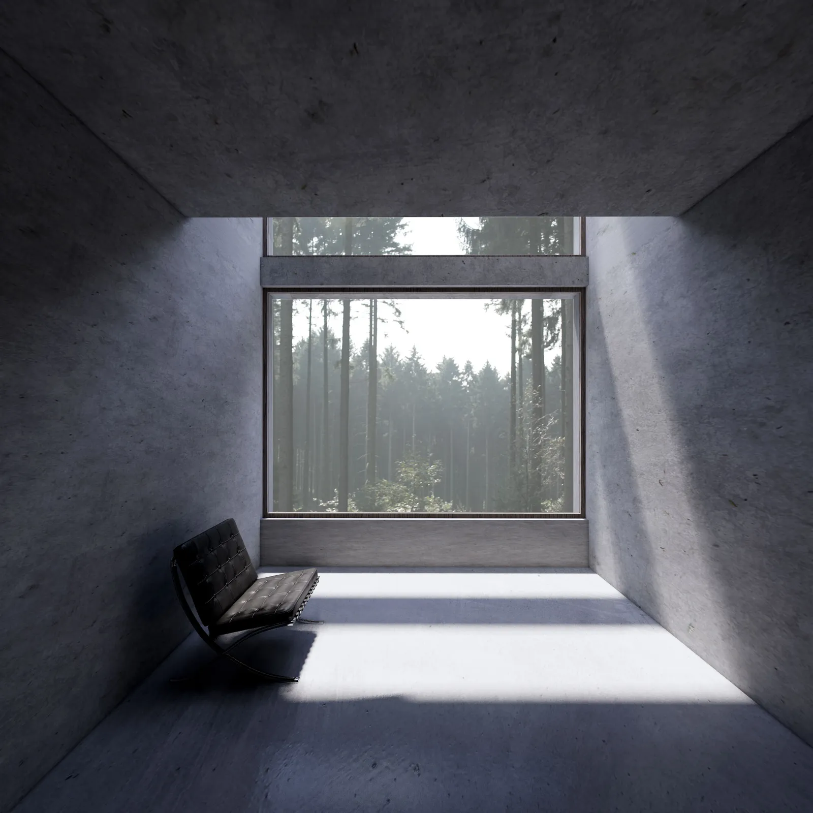 apartment image 4