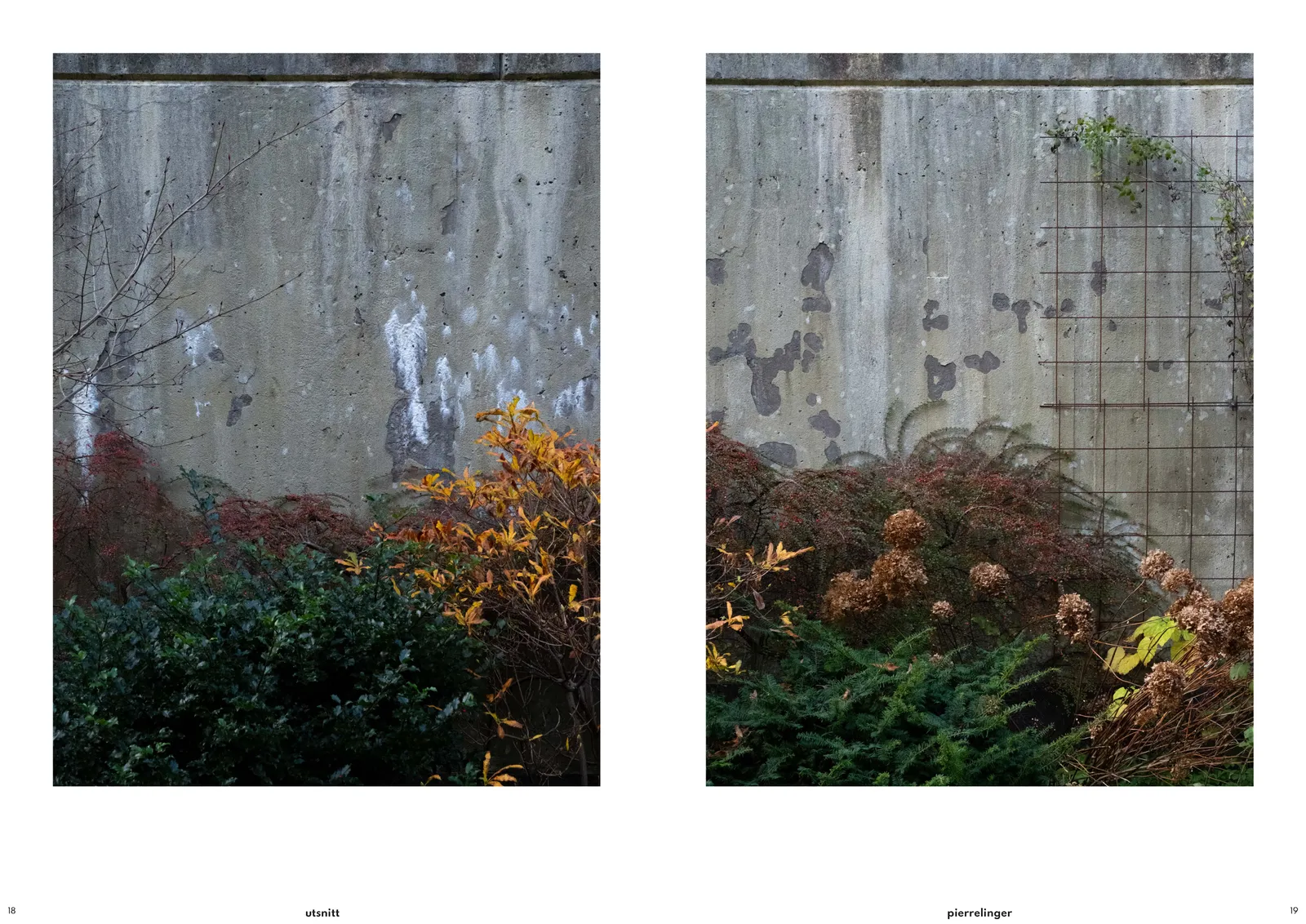 utsnitt image 7